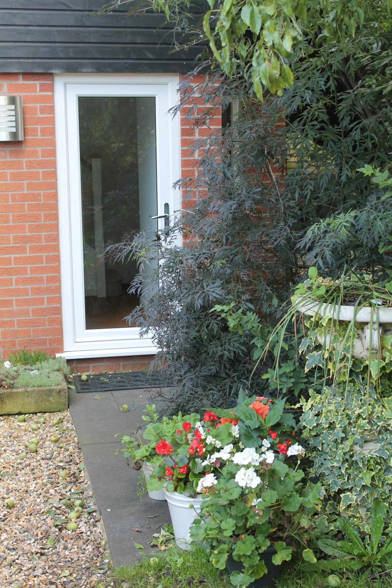 Pear Tree House Studio Ely Exteriör bild